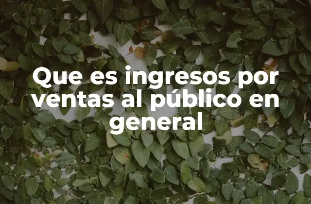 Que es Ingresos por Ventas Al Público en General