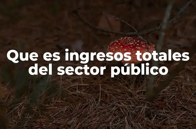 Que es Ingresos Totales Del Sector Público