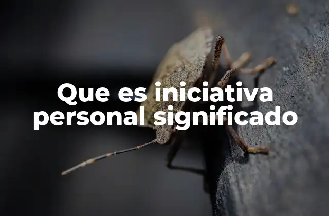 Cómo la iniciativa personal impulsa el crecimiento profesional