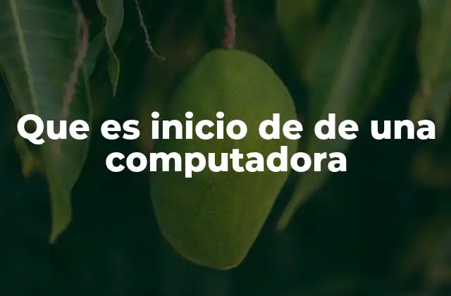 Que es Inicio de de una Computadora