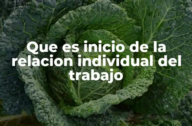 Que es Inicio de la Relacion Individual Del Trabajo