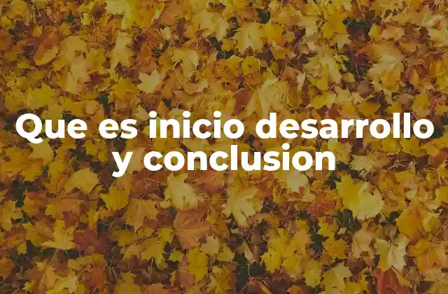 Que es Inicio Desarrollo y Conclusion 2 La importancia de una estructura clara en la comunicación