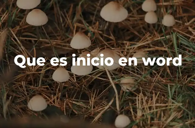Que es Inicio en Word
