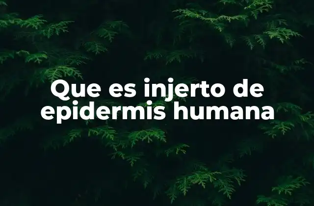 Que es Injerto de Epidermis Humana