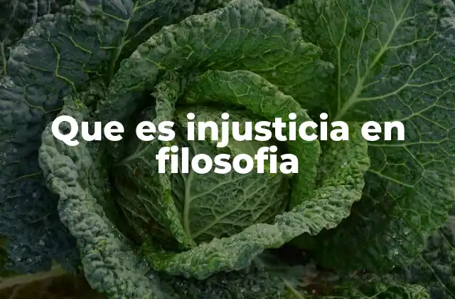 Que es Injusticia en Filosofia