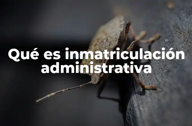 Qué es Inmatriculación Administrativa