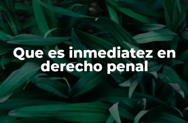 Que es Inmediatez en Derecho Penal