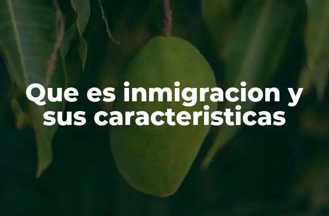 Que es Inmigracion y Sus Caracteristicas