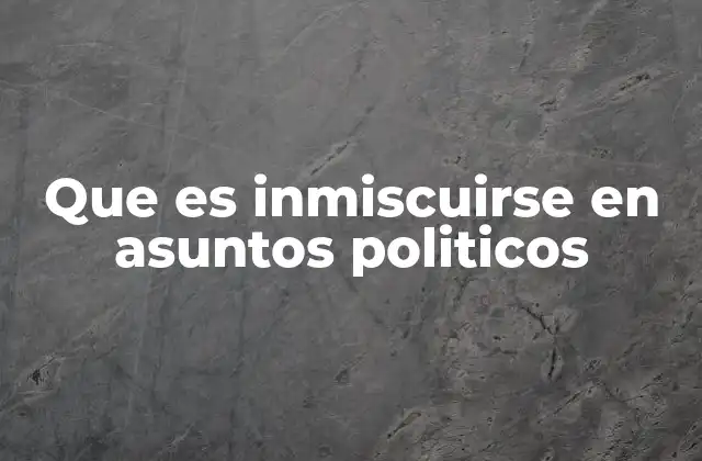 Que es Inmiscuirse en Asuntos Politicos