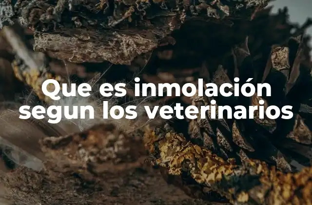 Que es Inmolación Segun los Veterinarios