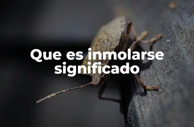 Que es Inmolarse Significado