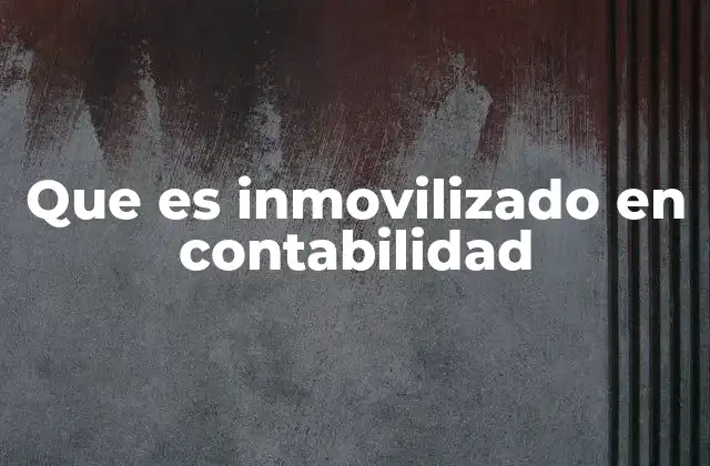 Que es Inmovilizado en Contabilidad