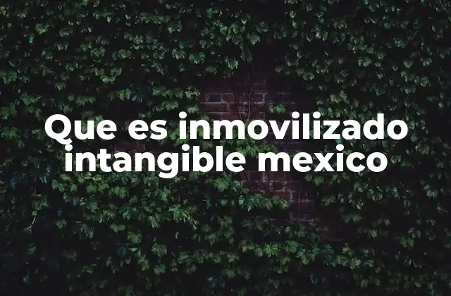 Que es Inmovilizado Intangible Mexico