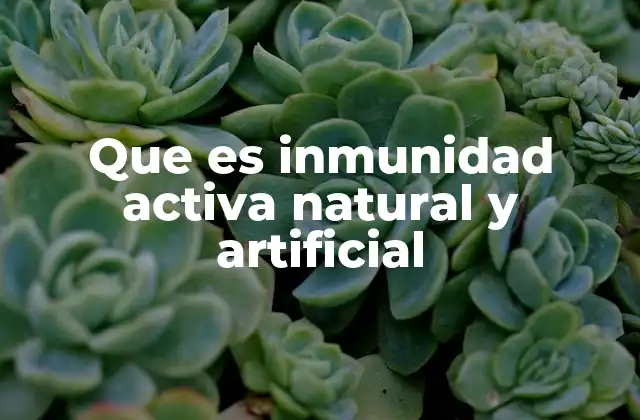 Que es Inmunidad Activa Natural y Artificial 2 El papel del sistema inmunitario en la generación de inmunidad activa