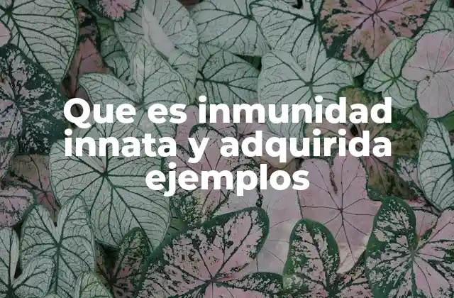 Que es Inmunidad Innata y Adquirida Ejemplos