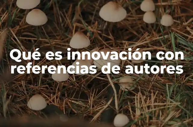 Qué es Innovación con Referencias de Autores