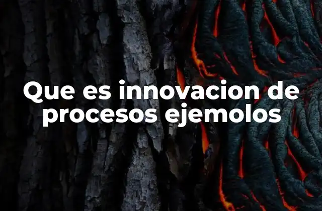Que es Innovacion de Procesos Ejemolos