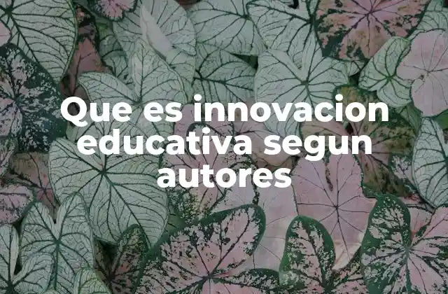 Que es Innovacion Educativa Segun Autores