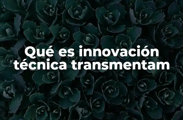Qué es Innovación Técnica Transmentam