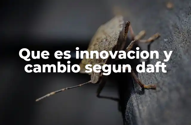 Que es Innovacion y Cambio Segun Daft
