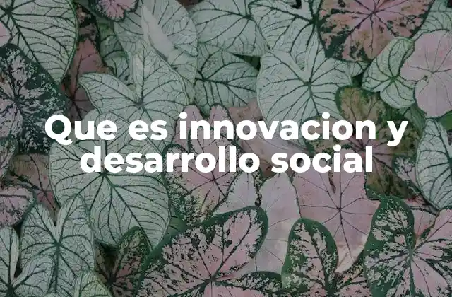 Que es Innovacion y Desarrollo Social