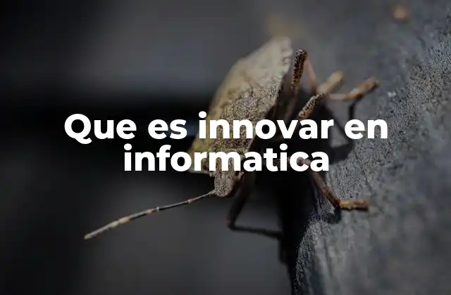 Que es Innovar en Informatica