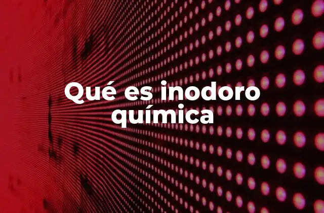 Qué es Inodoro Química