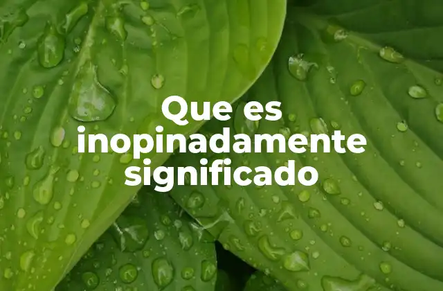 Que es Inopinadamente Significado