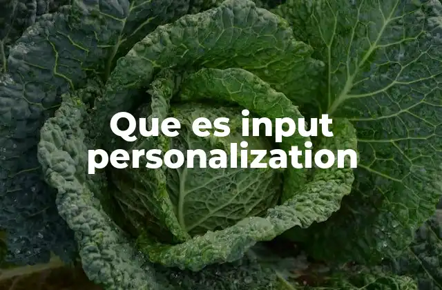 Que es Input Personalization