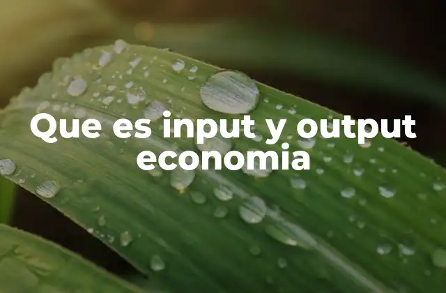 La relación entre input y output en los modelos económicos