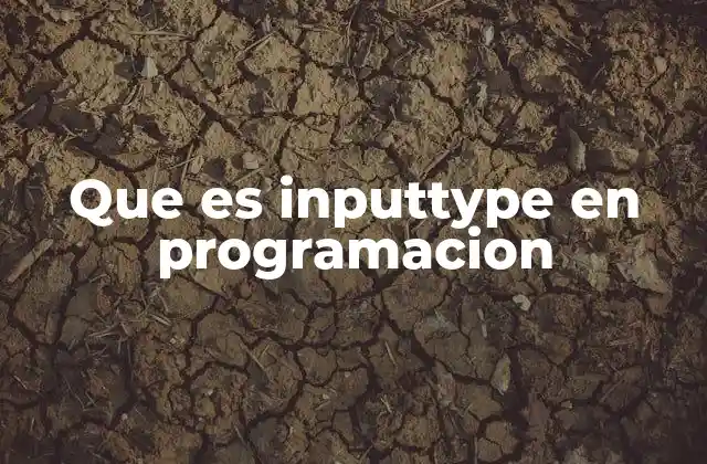 Que es Inputtype en Programacion