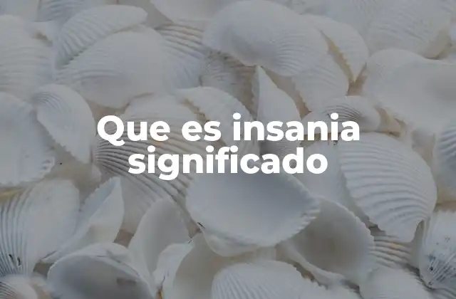 Que es Insania Significado
