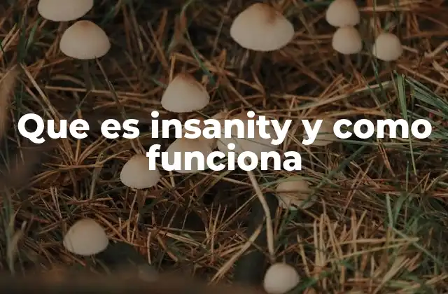 Que es Insanity y como Funciona