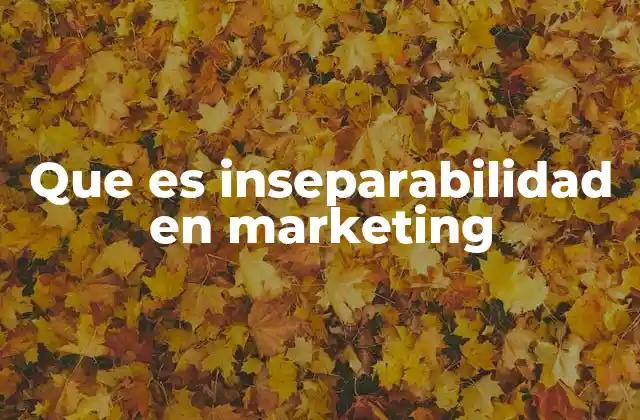 Que es Inseparabilidad en Marketing