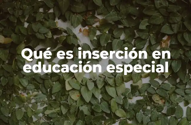 Qué es Inserción en Educación Especial