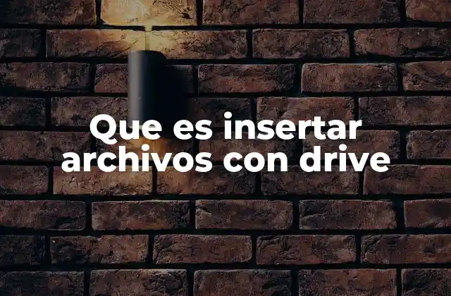Que es Insertar Archivos con Drive