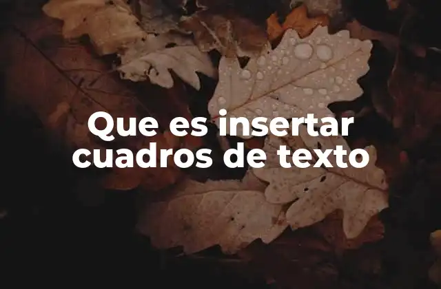 Que es Insertar Cuadros de Texto