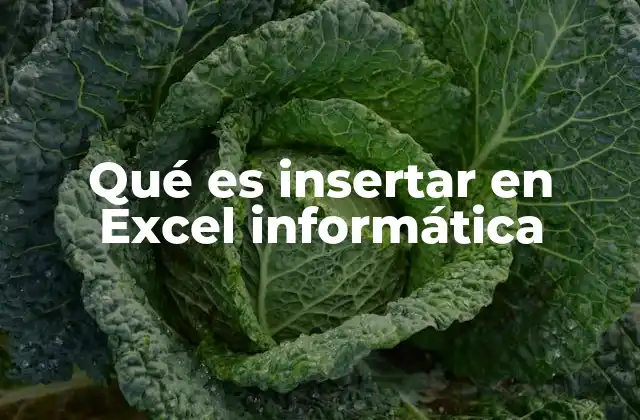 Qué es Insertar en Excel Informática 2 La importancia de insertar elementos en Excel para la organización de datos