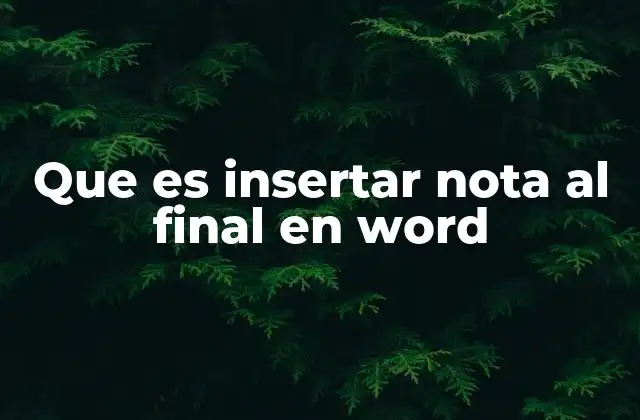 Que es Insertar Nota Al Final en Word