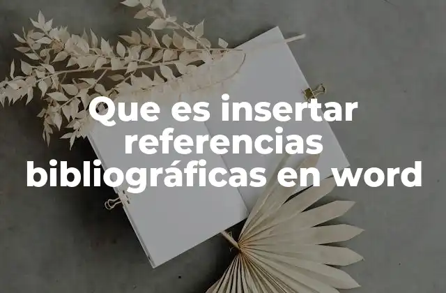Que es Insertar Referencias Bibliográficas en Word