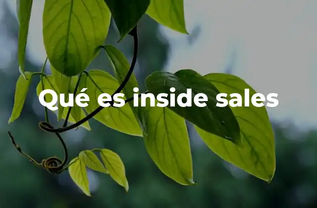Qué es Inside Sales