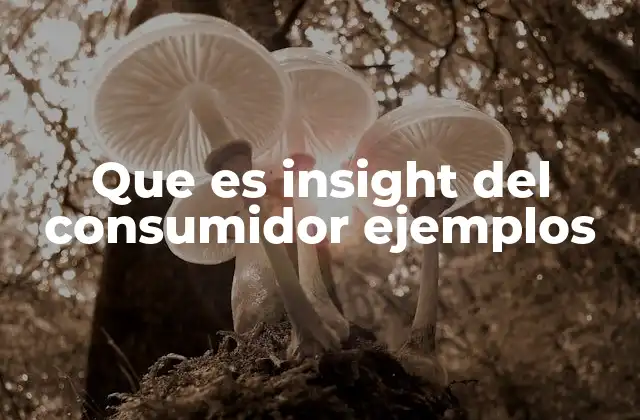 Que es Insight Del Consumidor Ejemplos