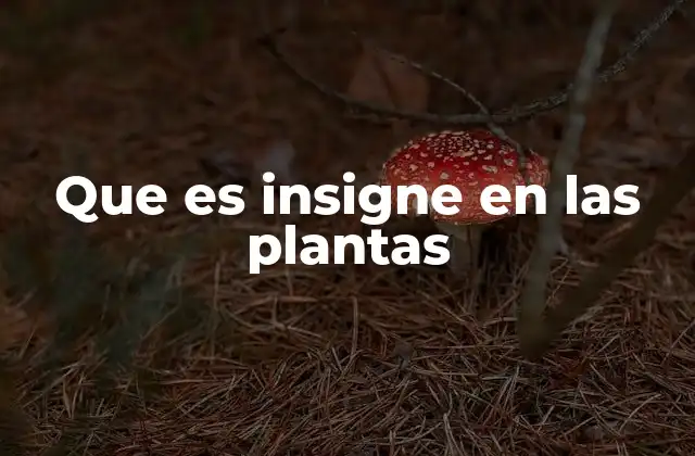 Que es Insigne en las Plantas