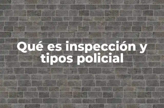 Qué es Inspección y Tipos Policial