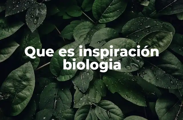 Que es Inspiración Biologia
