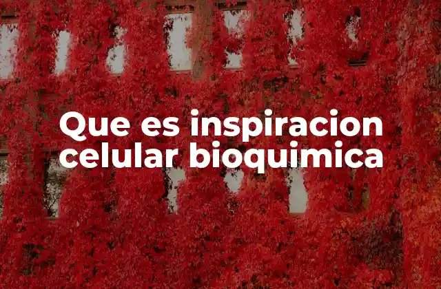 El papel del oxígeno en la producción de energía celular