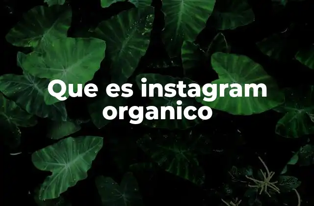 La importancia de construir una presencia real en Instagram