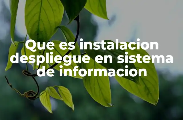 Que es Instalacion Despliegue en Sistema de Informacion