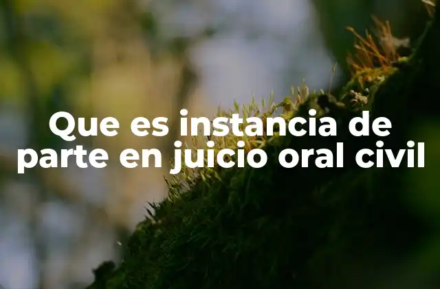 Que es Instancia de Parte en Juicio Oral Civil