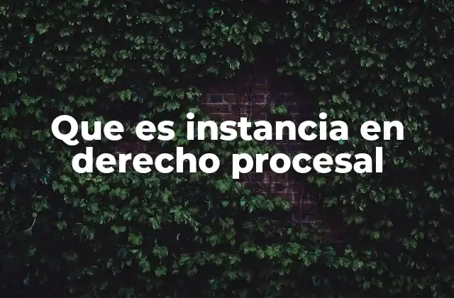 Que es Instancia en Derecho Procesal